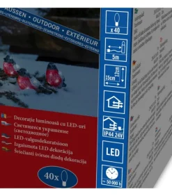 Oiseaux Lumineux Led, 5 Rouge-Gorge