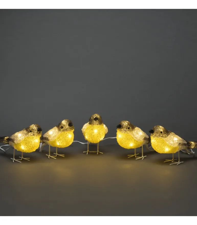 Oiseaux Lumineux Led En Acrylique, 5 Chardonnerets