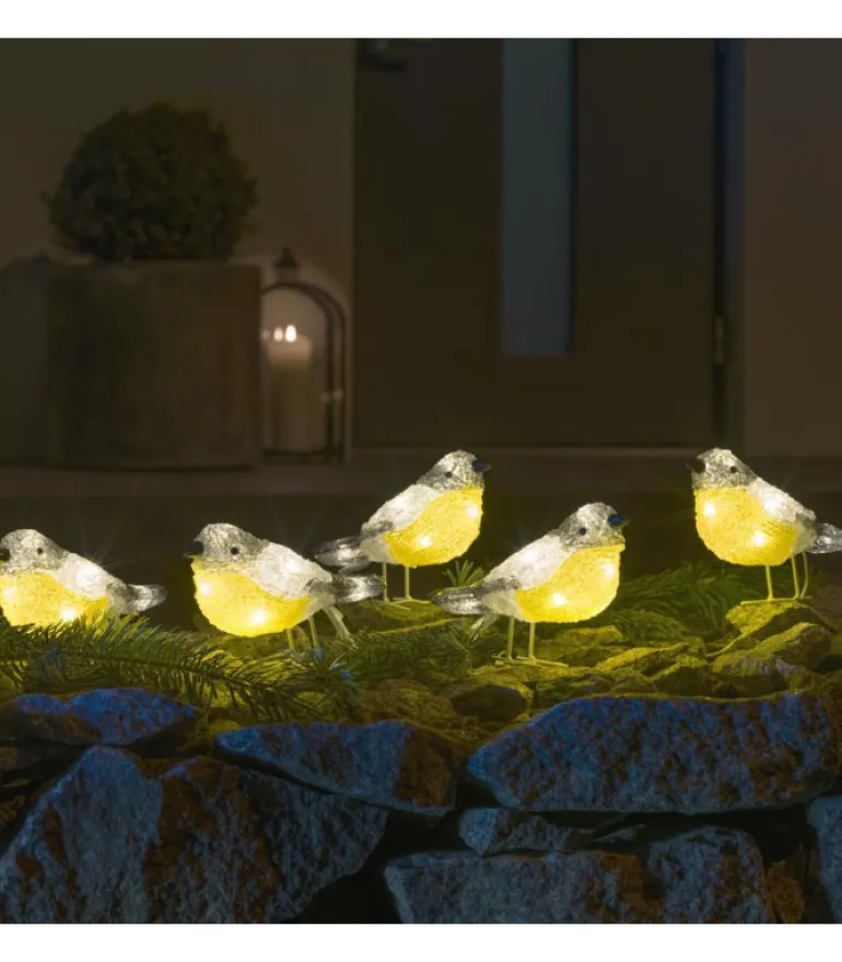 Oiseaux Lumineux Led En Acrylique, 5 Chardonnerets