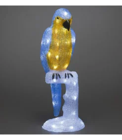 Perroquet Lumineux 50 Cm En Acrylique, 48 Diodes Blanc Chaud