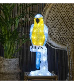 Perroquet Lumineux 50 Cm En Acrylique, 48 Diodes Blanc Chaud