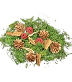 Pot Pourri Melange Pomme De Pin, Mousse, Foret, 80 G